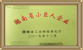 1669708567219392.png 湖南省小巨人.png